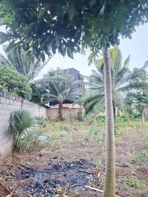 Terrain 1109 m² en vente à Agoè Telessou (Carrefour Pardon) – 45 millions FCFA — photo 2