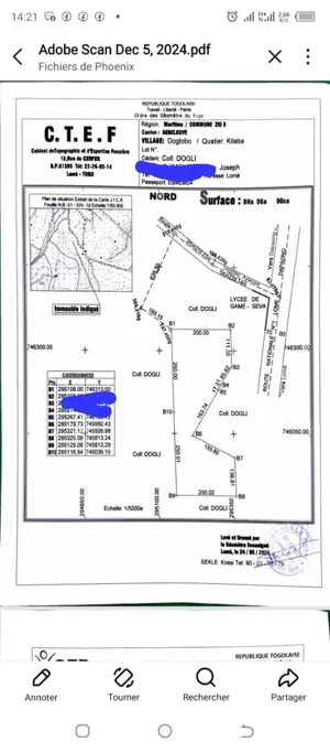 Terrain de 4 hectares en vente à Agbélouvé Doglobo – 2 millions FCFA par hectare