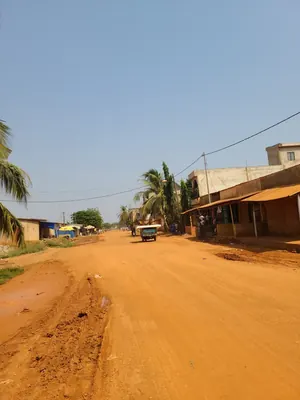 Terrain à vendre au bord de la grande route à Agoè Logopé Kossigan – 65 millions FCFA — photo 4
