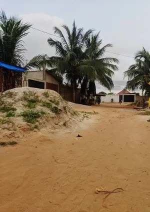 Terrain 300 m² en vente à Sagbado Logoter – 15 millions FCFA — photo 3
