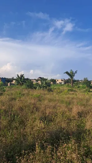 Terrain 20 lots en vente à Adétikopé Kpotavé – 13 millions FCFA — photo 4