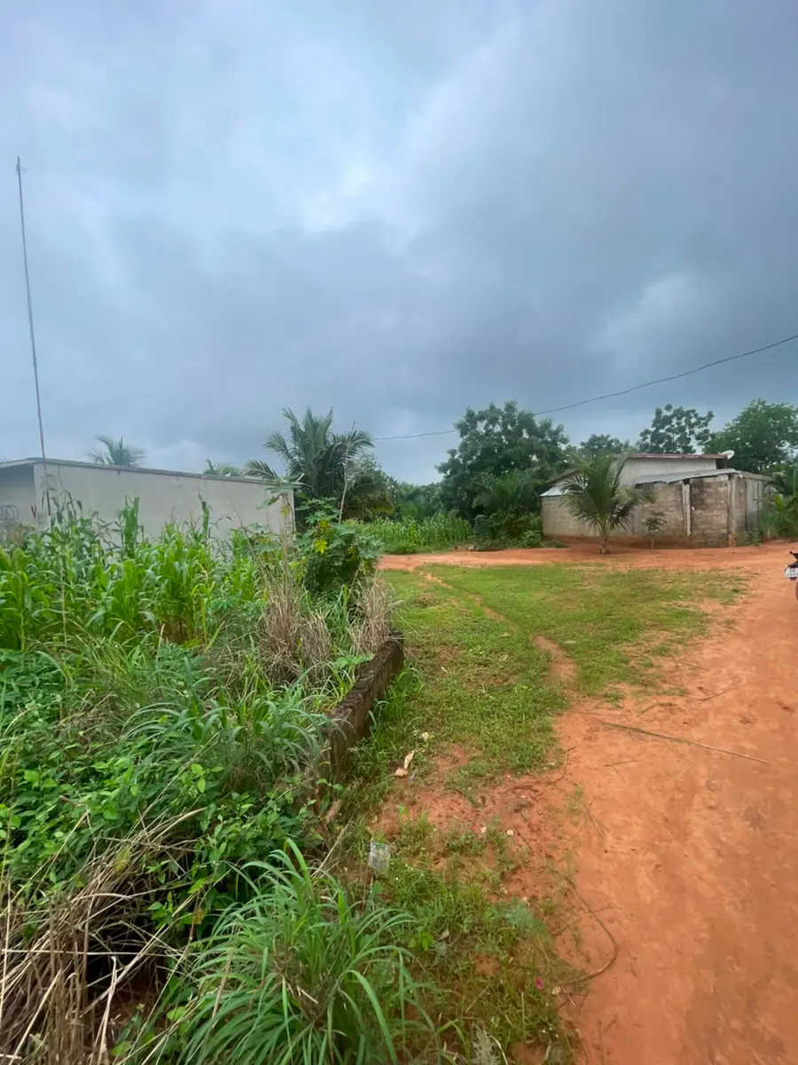 Terrain 150 m² en vente à Zanguera – 3 500 000 FCFA
