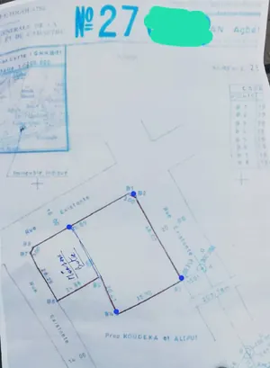 Terrain 1600 m² en vente à Kpogan Agbetiko, angle de rue – 80 millions FCFA