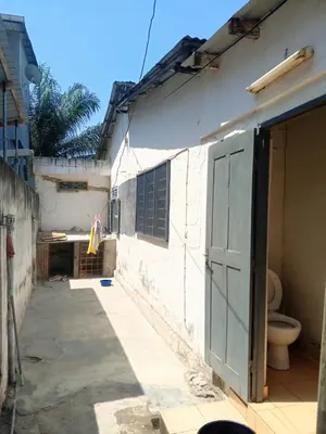 Vente d'un terrain à Tokoin Protestant, 1 lot, proche du goudron – 100 millions FCFA — photo 5