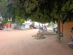 Vente d'un terrain à Zanguéra, demi-lot clôturé à 20 m du goudron – 23 millions FCFA — photo 3