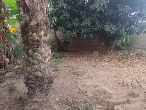 Maison 1 chambre sur demi-lot de 300 m² en vente à Klémé Château Agokpanou – 10 millions FCFA — photo 3