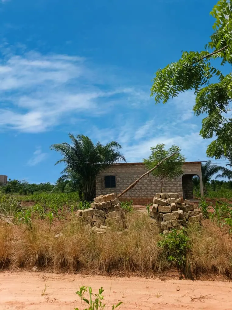 Terrain demi-lot de 300 m² en vente à Zanguera Aképédok – 7,5 millions FCFA