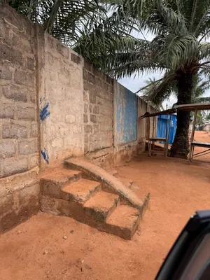 Terrain 1 lot en vente à Assigomé École Déo Gracias – 35 millions FCFA — photo 3