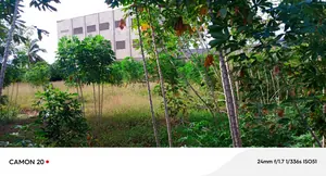 Vente de terrain à Adidogomé Sagbado, 1 lot à déduire sur 2 lots, clôturé – 30 millions FCFA — photo 2