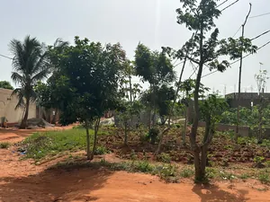 Terrain de 4200 m² (7 lots) en vente à Djagblé Abolavé – Prix à partir de 8 millions FCFA — photo 3