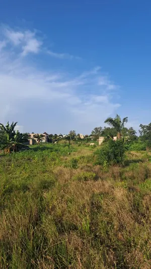 Terrain 20 lots en vente à Adétikopé Kpotavé – 13 millions FCFA — photo 5