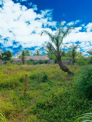 Terrain 1 lot de 544 m² en vente en angle de rue à Zanguéra-Woungomé – 16 millions FCFA — photo 4