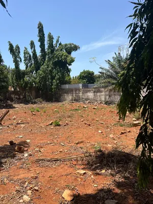 Terrain 683 m² en angle de rue à vendre à la Résidence du Bénin (Caisse) – 350 millions FCFA — photo 3