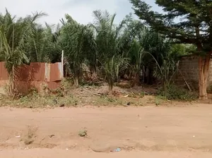Terrain 1 lot en vente à Lankouvi – 26 millions FCFA — photo 3