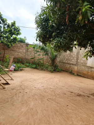 Demi-lot bâti 2 chambres en vente à 150m du goudron à Légbassito Avinato – 15 millions FCFA — photo 5