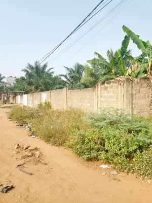 Terrain demi-lot 300 m² en vente à Agoè Anokui près de la base TDE – 14 500 000 FCFA