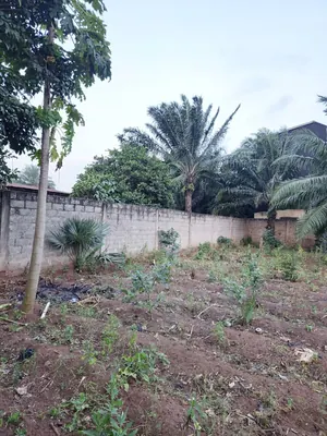Terrain 1109 m² en vente à Agoè Telessou (Carrefour Pardon) – 45 millions FCFA — photo 5
