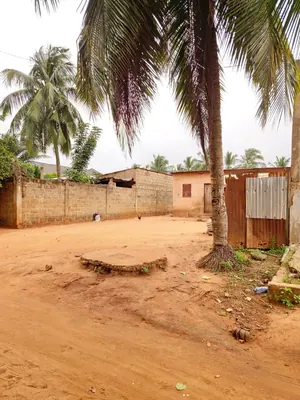 Demi-lot bâti de 300 m² en vente à 150 m du goudron à Agoè Légbassito (Rond-Point des Sœurs) – 16 millions FCFA — photo 3