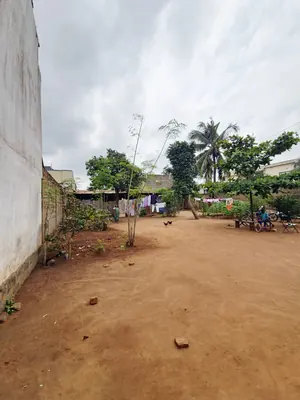 Terrain 1 lot en vente en bordure du goudron à Attiégou (Togo 2000) – 85 000 000 FCFA — photo 2