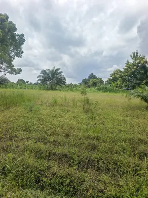 Terrain en vente à Fokpo 1, Assahoun – 11 lots avec titre foncier personnel – à partir de 1 500 000 FCFA — photo 2