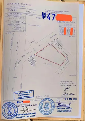 Terrain 4 lots 2400 m² en vente en angle de rue à Sanguéra Dangbessito – 27 millions FCFA le lot