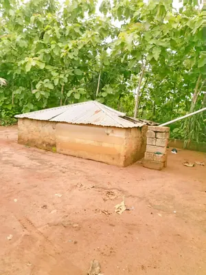 11 lots 5 pièces 6651 m² en vente à Kovié Dzemeké – 45 millions FCFA — photo 4