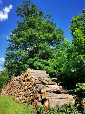 Vente d'une maison à étage à Zanguera Klémé, 4 chambres, à 100 m du tronçon Ségbé-Zanguera – 30 millions FCFA à débattre — photo 14
