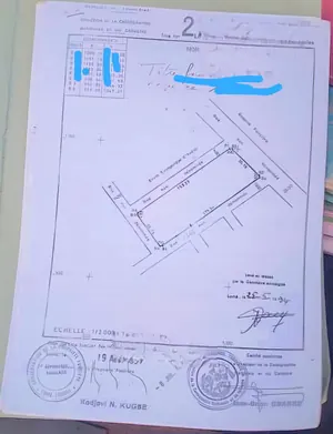 Terrain 13 lots (7800 m²) en vente à Avedji – 70 millions FCFA le lot — photo 2