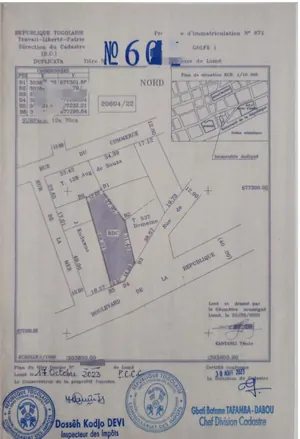 Terrain 2 lots de 1200 m² en vente à Assigamé, Lomé – 1 800 000 000 FCFA