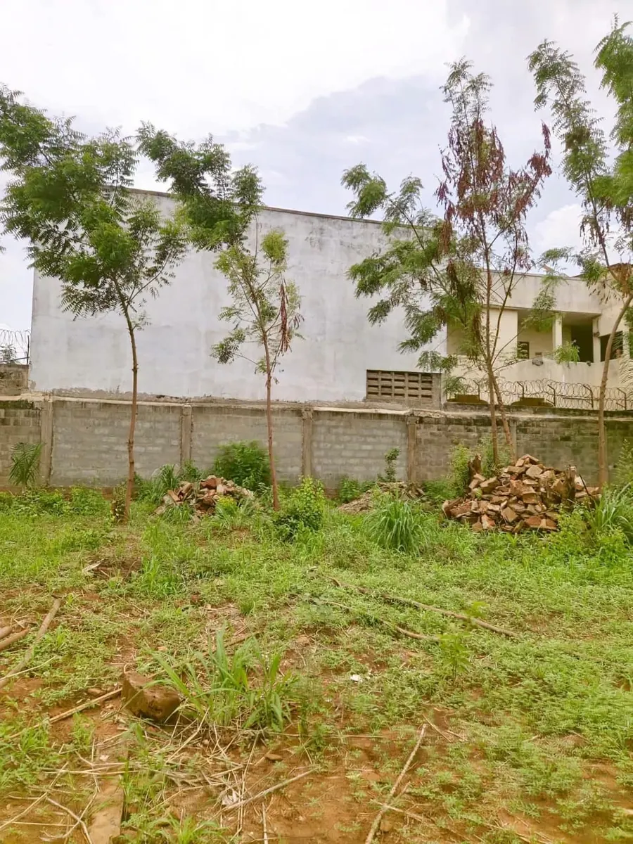 Vente d'un terrain à Agoè Logopé, demi-lot, 300 m², titre foncier personnel – 15 millions FCFA