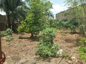 Terrain 600 m² en vente à Avedji Margo – 30 millions FCFA — photo 4
