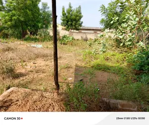 Terrain 600 m² en vente à Agoè Demakpoè – 26 millions FCFA — photo 4