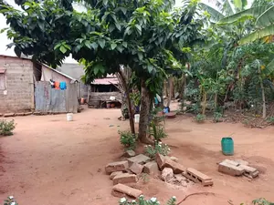 Vente d'un terrain à Zanguéra, demi-lot clôturé à 20 m du goudron – 23 millions FCFA — photo 1