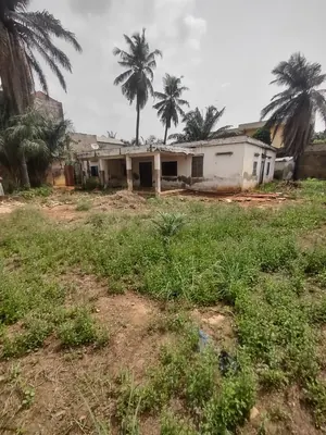 Maison en vente sur lot dépassé à Tokoin Protestant, Lomé – 90 millions FCFA — photo 3