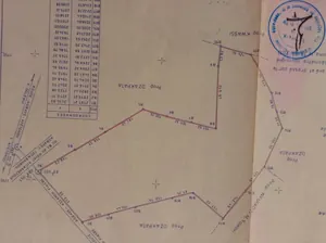 Terrain de 33 hectares à vendre à Avetonou, préfecture d'Agou – 1 500 000 FCFA/hectare