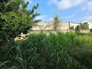 Terrain 2 lots en vente à Zanguera (Kléme) – 60 millions FCFA — photo 1