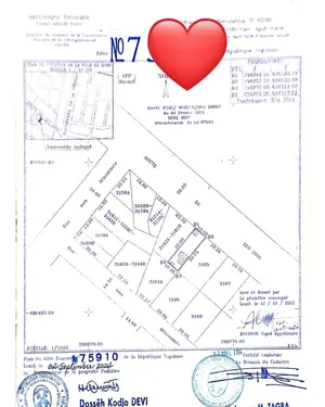 Terrain 1/2 lot en vente au bord du goudron à Léo2000 avant Volonté – 65 millions FCFA