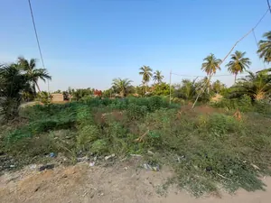 Terrain 1 lot en vente à Agbodrafo Djassémé, angle de rue, bord du goudron – 12 millions FCFA — photo 2