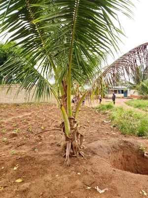 Terrain 340 m² en vente à Légbassito Kognito – 7,5 millions FCFA — photo 2