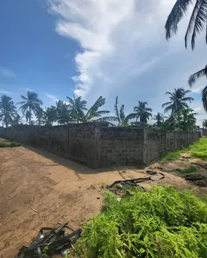 Terrain en vente à Kpogan Agodeke – 25 millions FCFA le lot — photo 4