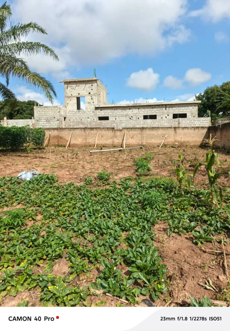 Terrain nu 1/4 lot à vendre à Zanguera – 5 500 000 FCFA