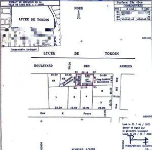 Terrain 346 m² à vendre à Tokoin Elavagno – 75 millions FCFA — photo 2