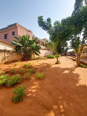 Terrain 633 m² en vente à Agoé Sogbossto – 30 millions FCFA — photo 2