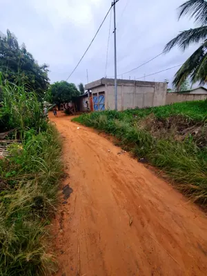 Vente d'un terrain à Sagbado Balissimé, demi-lot de 300 m² – 9 500 000 FCFA — photo 2