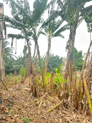 Terrain demi-lot en vente à Agoé Sogbossito – 15 millions FCFA — photo 11