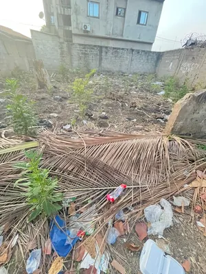 Terrain de 150 m² en vente à Totsi Gbinkome – 15 millions FCFA — photo 4