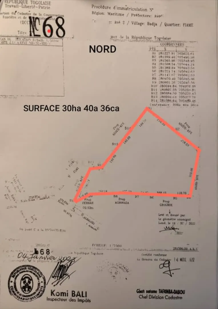 Vente de 20 hectares à Badja Fiamè, titre foncier personnel – 4,5 millions FCFA l'unité