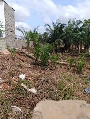 Vente d'un terrain à Agoè Démakpoè, 710 m², à 40 mètres du goudron – 55 000 000 FCFA — photo 4