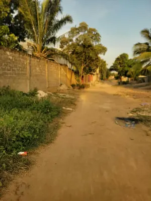 Vente de terrain à Adidogomé Kohé, 4 lots clôturés derrière le CEG Kohé – 27 millions FCFA le lot — photo 6