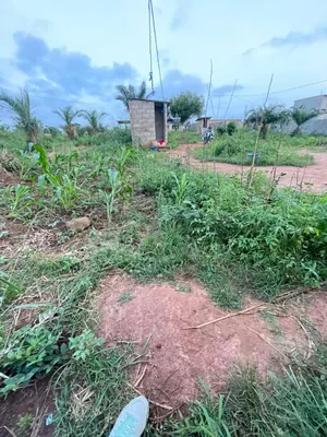 Terrain demi-lot 300 m² en vente à Noépé – 6 500 000 FCFA — photo 2